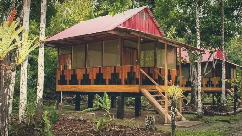 Amazon Jungle Lodges(2)