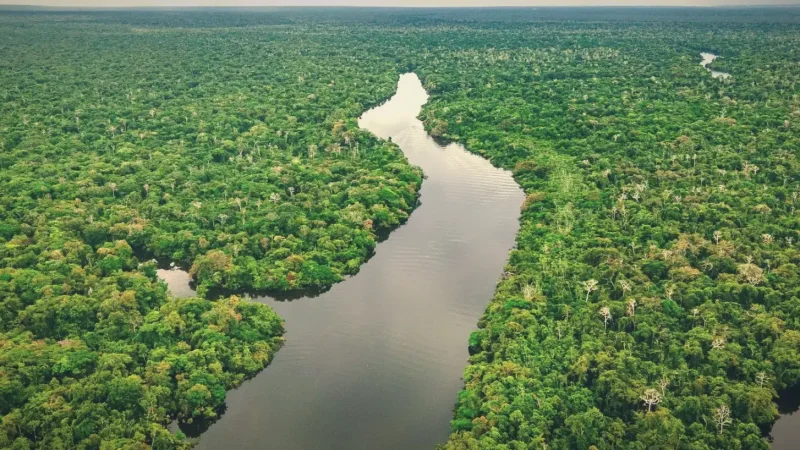 Amazon River Cruise(5)