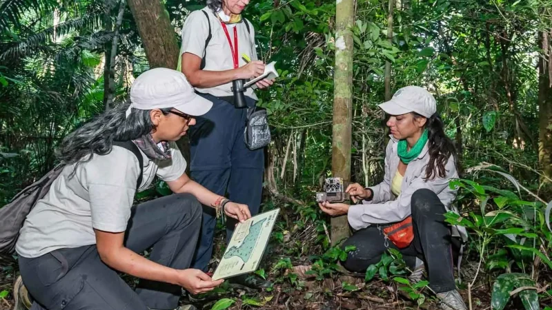 Amazon_Research_Centers_–_Conservation_projects__06