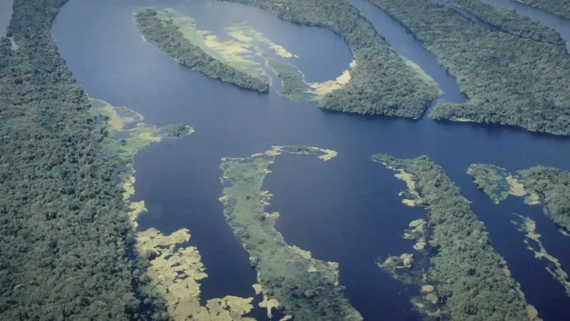 Anavilhanas National Park – Protected river island area(9)