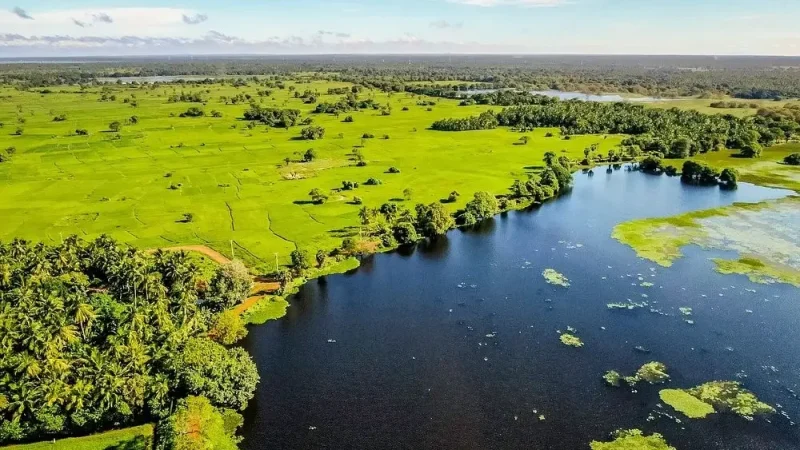 Anawilundawa Wetland Sanctuary3