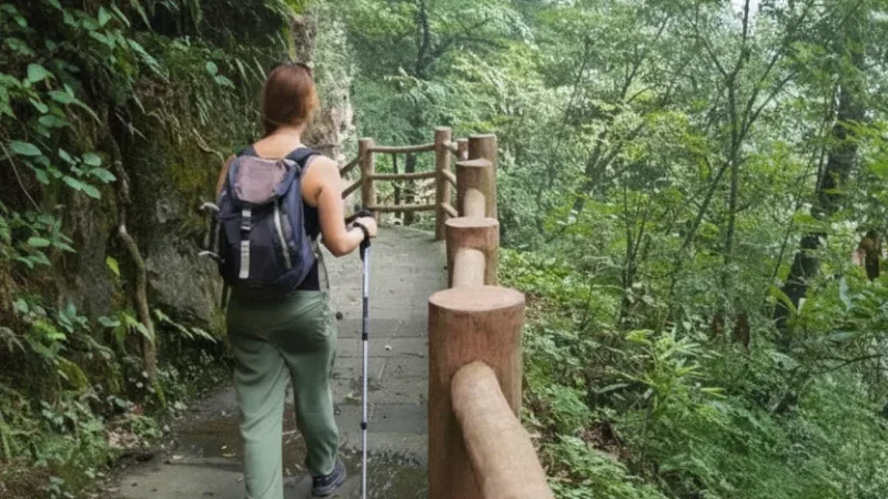 Ancient Stone Steps(4)
