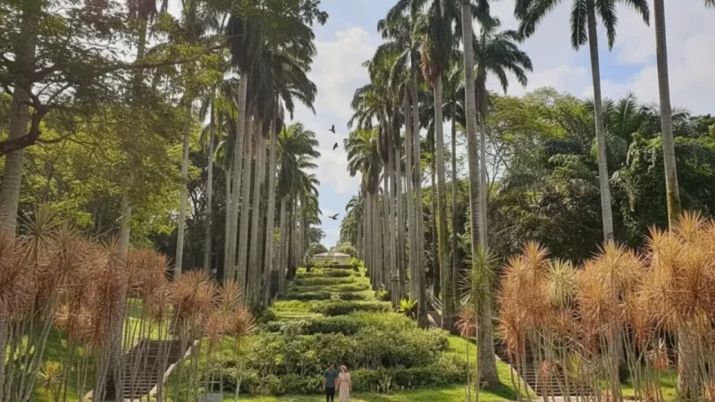 Ang Mo Kio Town Garden West(1)