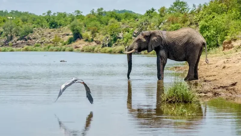 Angammedilla National Park5