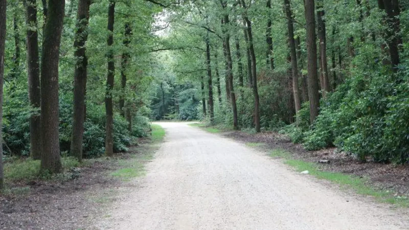 Apenheul_Forest_Trails_05