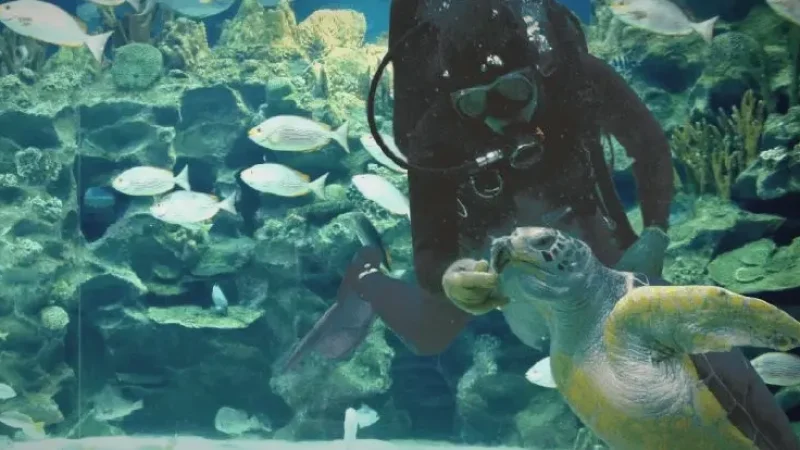 Aquaria KLCC – Oceanarium(2)