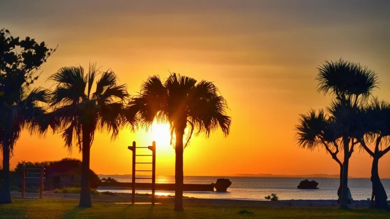 Araha Beach(4)
