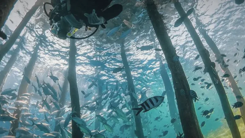 Arborek Village – Snorkeling & local life(1)