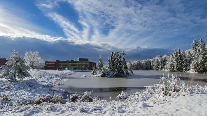 Arctic University Centre (UNIS) Area – Polar research zone(5)