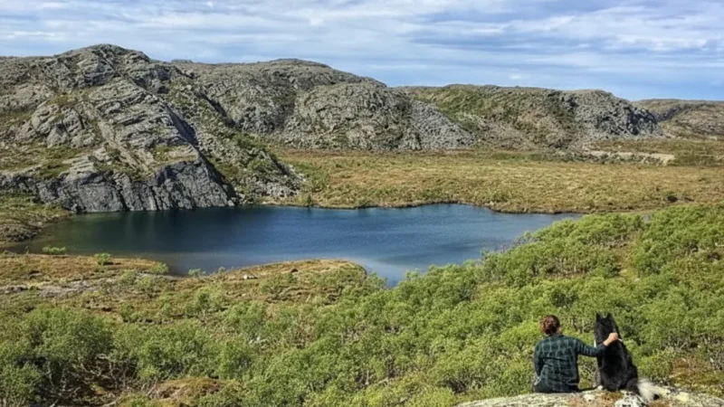 Arctic Wilderness Trails – Snow & summer routes(1)