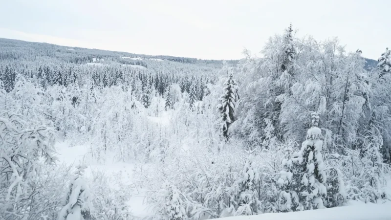 Arctic Wilderness Zones(1)