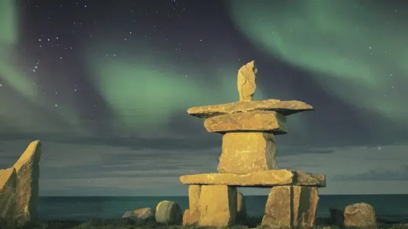 Arctic Wildlife Observation Points(3)
