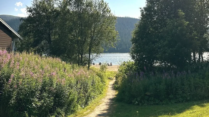 Åre Lake Shore – Calm lake views and walks(5)