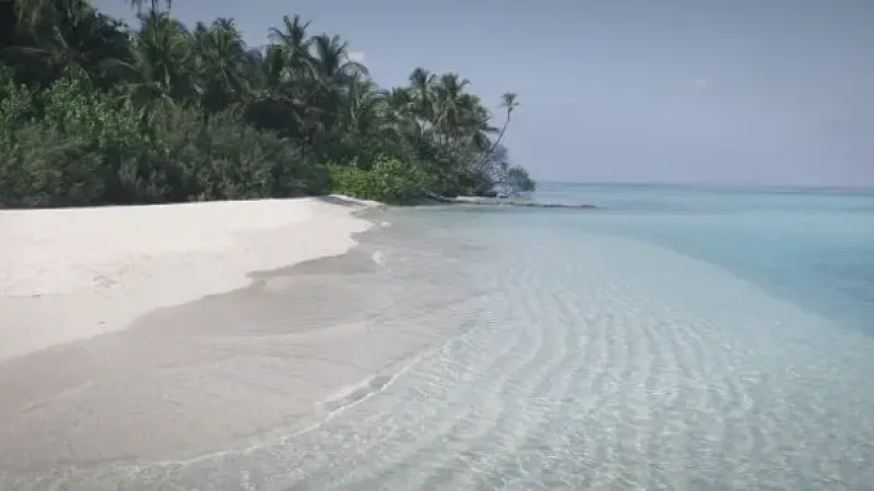 Asdhoo Bikini Beach(3)