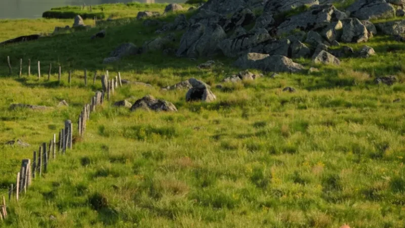 Aubrac Plateau – Open landscapes(4)