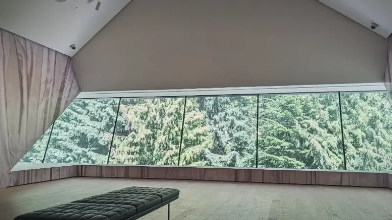 Audain Art Museum – Canadian art collections(4)