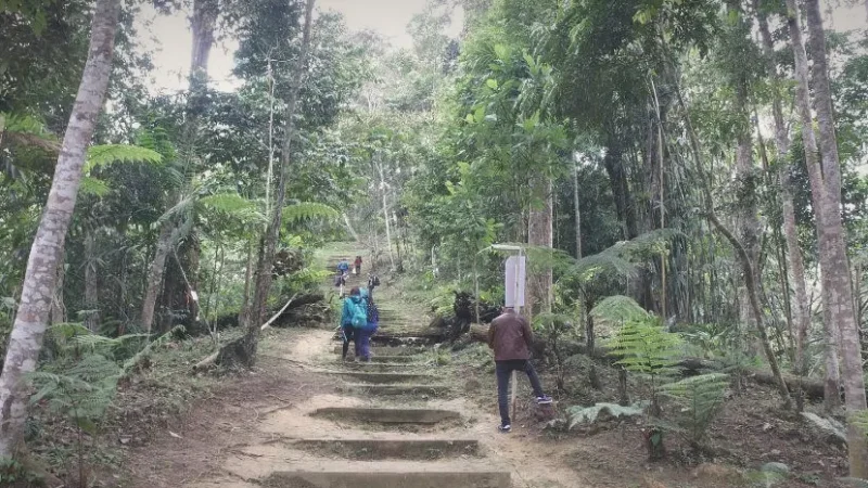 Awana Bio Park(3)