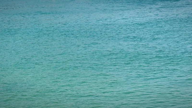 Azedinha Beach – Quiet neighboring beach(7)