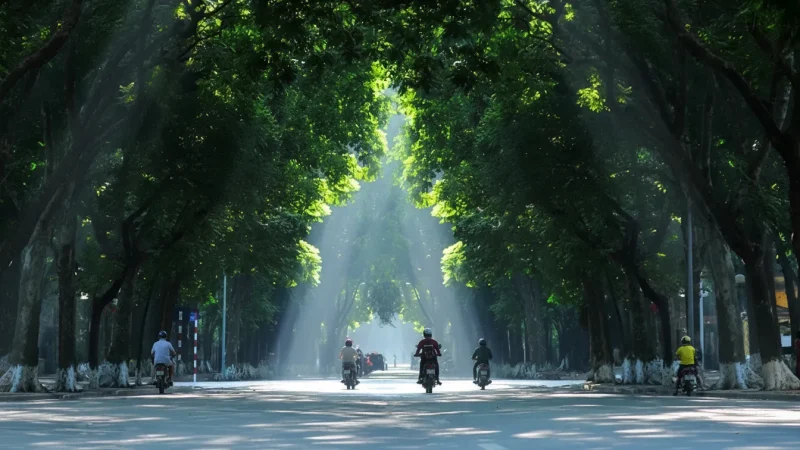 Ba Dinh District – Local Government Streets(3)