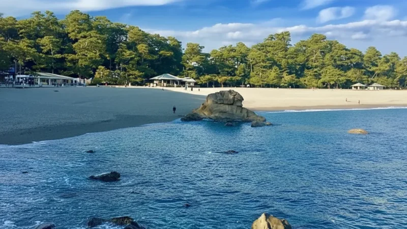 Baishinji Beach (梅津寺海岸)(4)