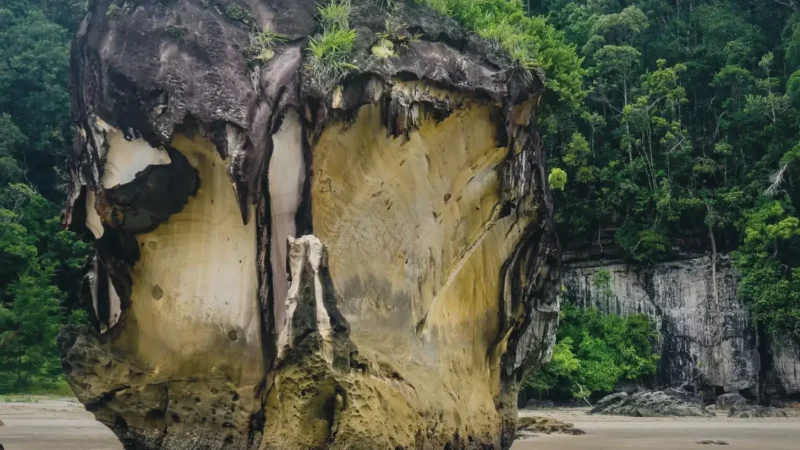 Bako National Park(4)