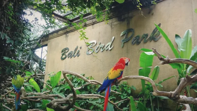 Bali Bird Park(1)