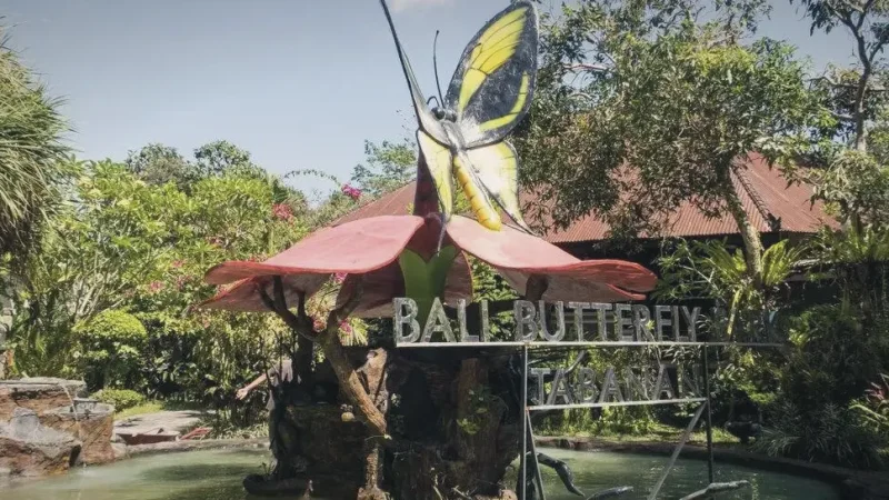 Bali Butterfly Garden Kediri(1)