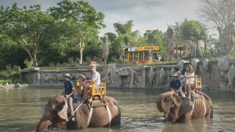 Bali Safari and Marine Park(3)