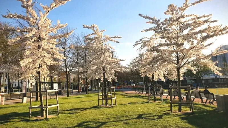 Bältespännarparken(5)