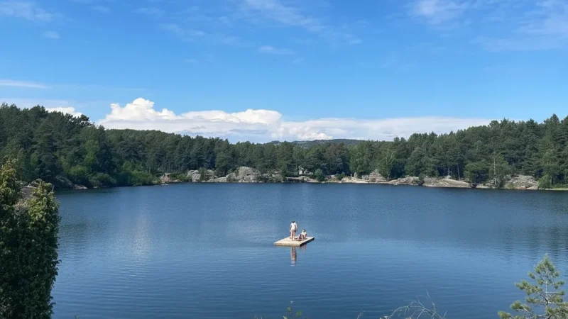 Baneheia Park – Lakes and forest walking trails(4)