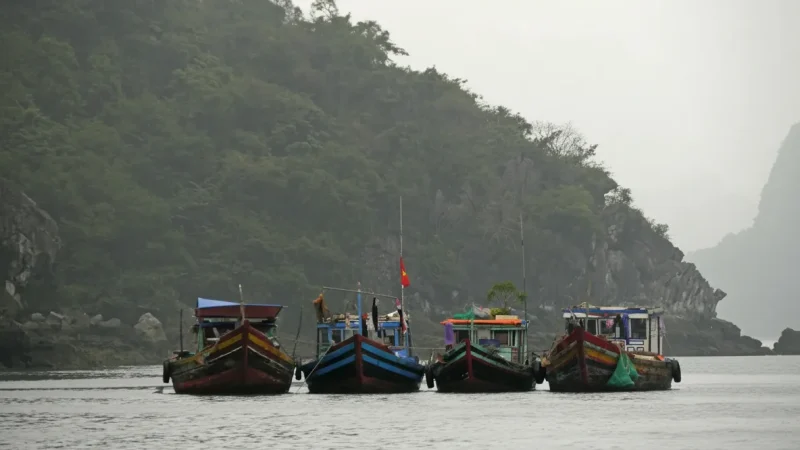 Bảo Ninh Fishing Village – Traditional boat life(3)