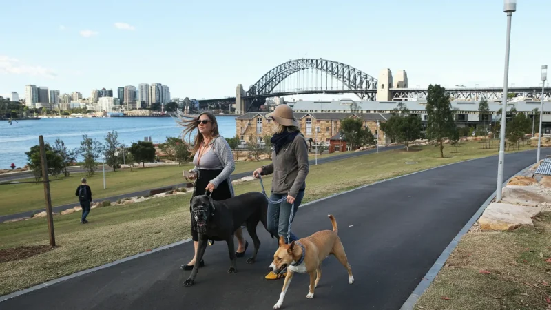 Barangaroo Reserve – Waterfront park area(5)