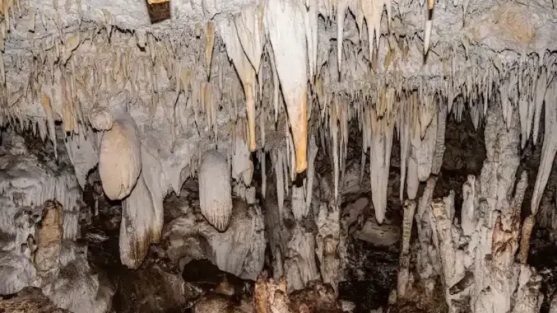 Barra_Honda_National_Park__4