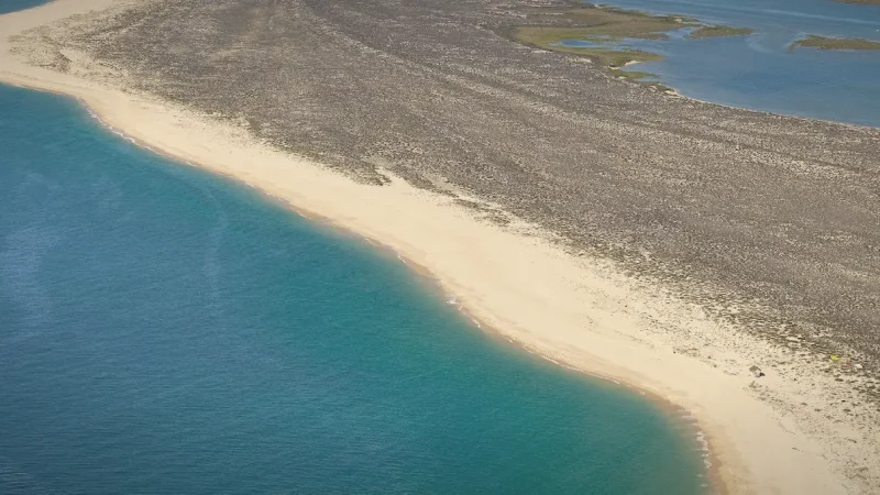 Barrier Island Dunes – Natural coastal landscapes(6)