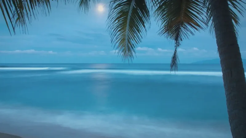 Base-G Beach(2)