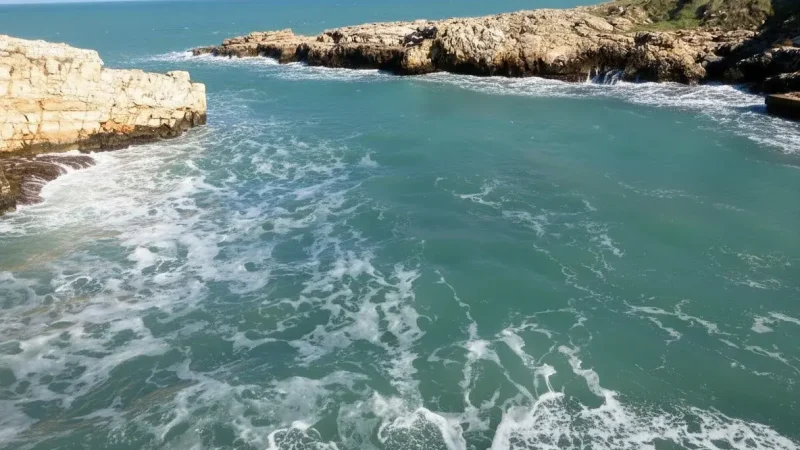 Beach Club Cala Paura(6)