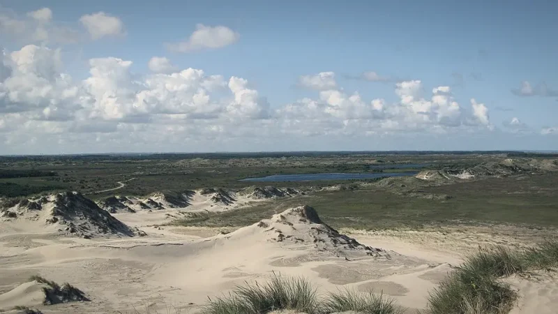 Beach Dunes Area – Natural coastal landscape(4)
