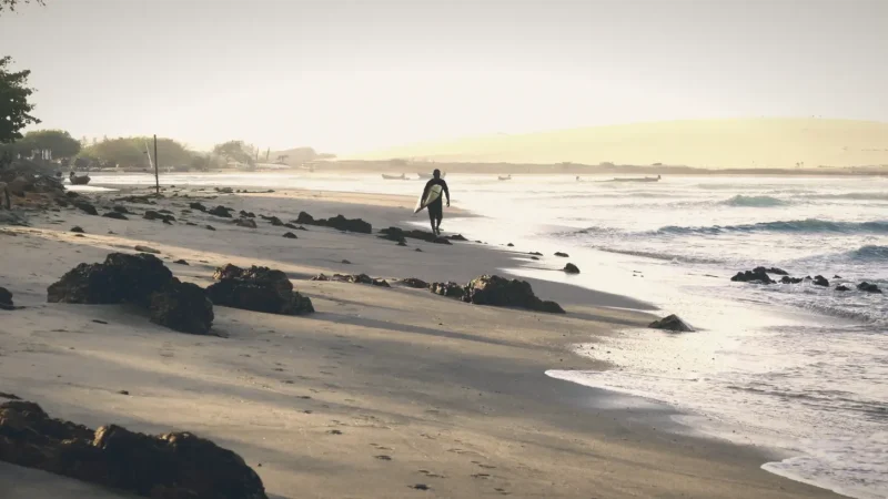 Beach Walk Paths – Coastal strolls(1)