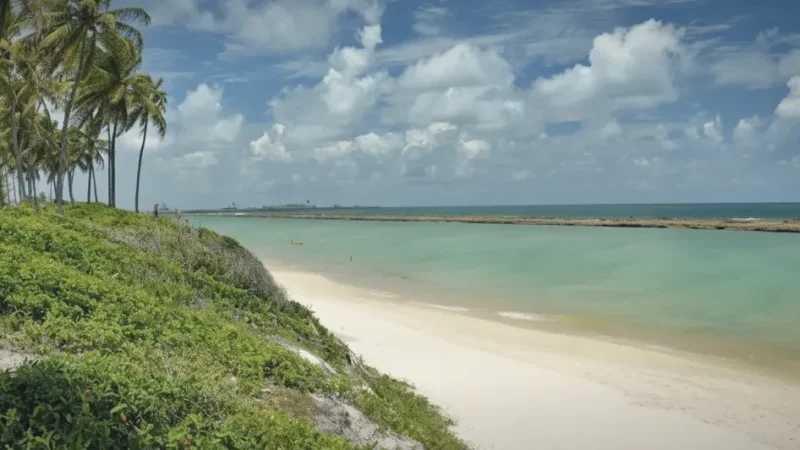 Beach Walk Paths – Coastal strolls(3)