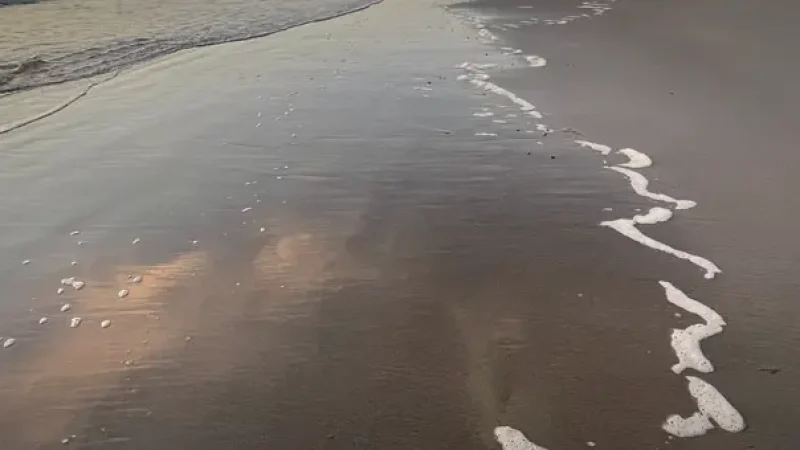 Beach Walk Paths – Long shoreline walks(7)