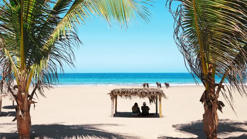 Beach_Picnic_Areas_–_Simple_seaside_resting_spots__06