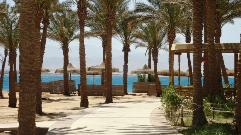 Beachfront Promenades – Relaxed Coastal Walks(5)