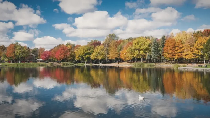 Beaver Lake – Forest Lake(3)
