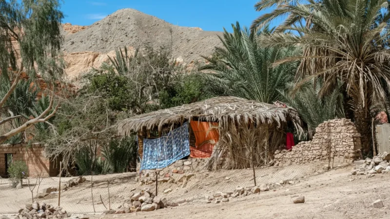 Bedouin Villages – Traditional desert life(4)