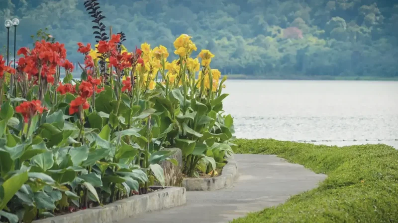 Bedugul Botanical Garden(3)