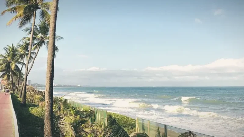 Beira Mar Avenue – Coastal promenade(3)