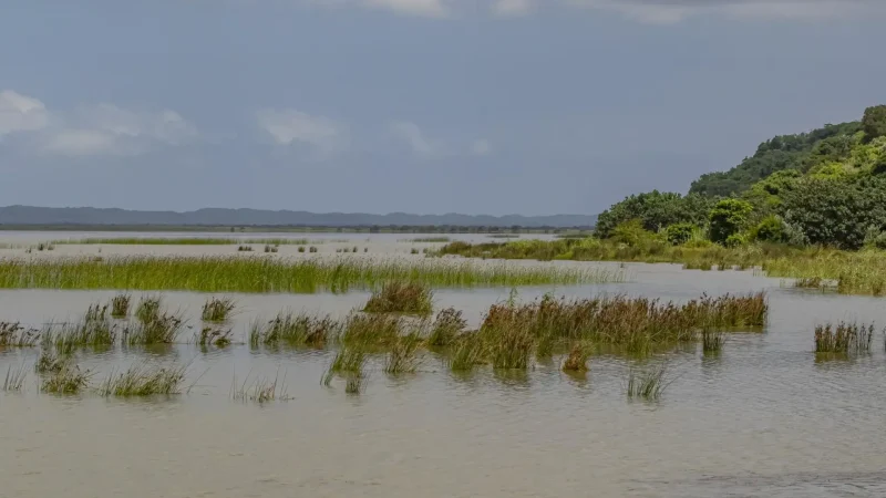 Bhangazi_Lake_тАУ_Quiet_freshwater_lake_03