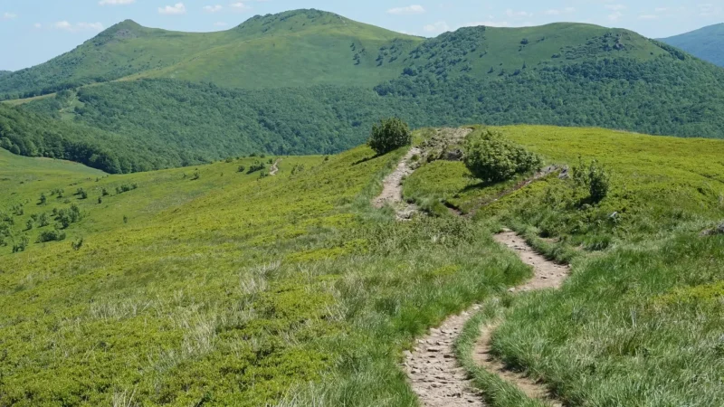 Bieszczady_National_Park_Trails_01