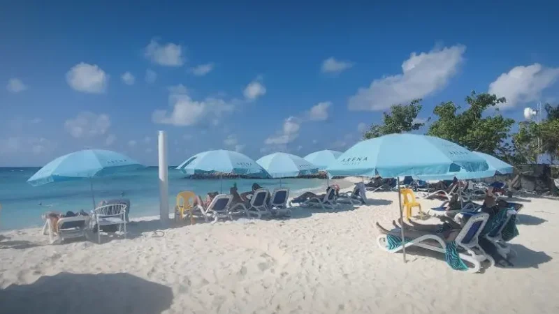 Bikini Beach(6)