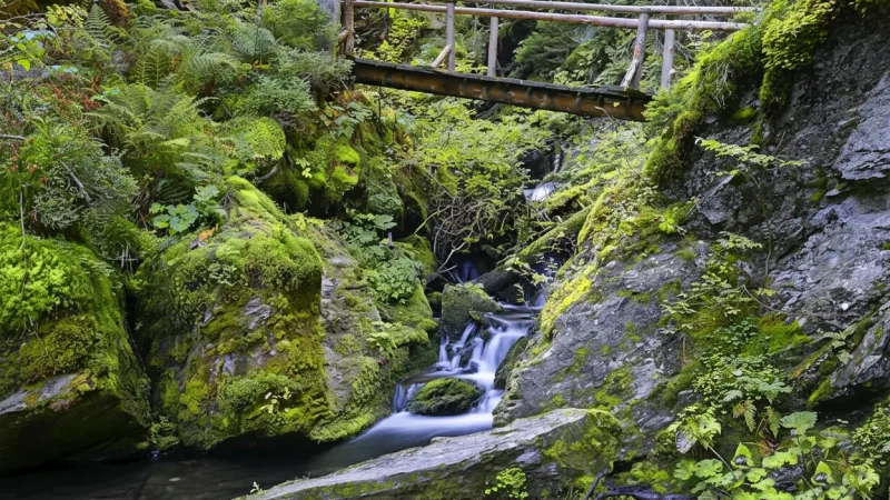 Bílá Opava – Nature hiking trail(2)